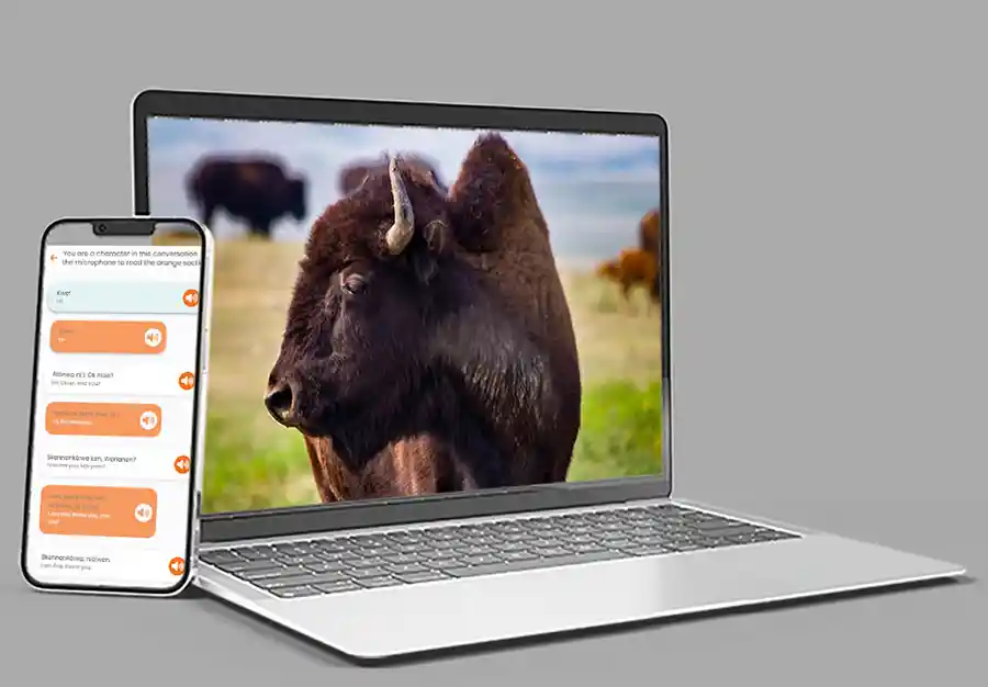 Language learning on multiple devices